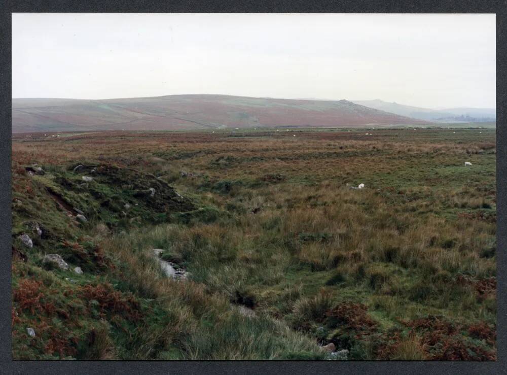 An image from the Dartmoor Trust Archive