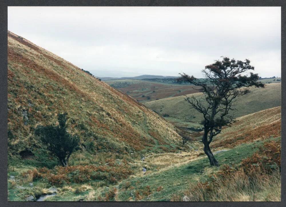 An image from the Dartmoor Trust Archive