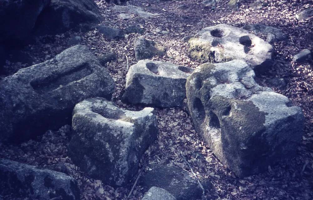 An image from the Dartmoor Trust Archive