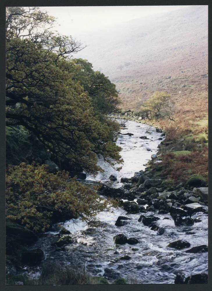 An image from the Dartmoor Trust Archive