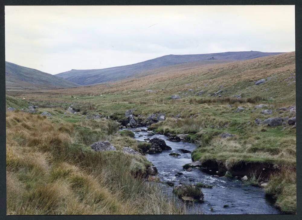 An image from the Dartmoor Trust Archive