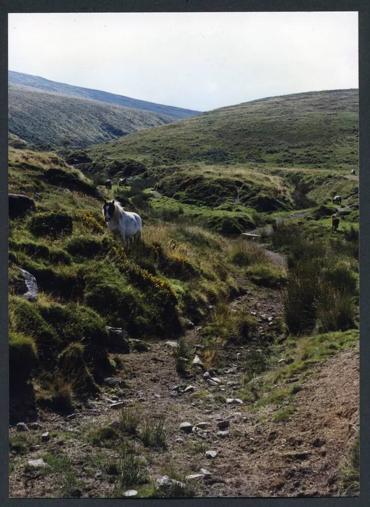 An image from the Dartmoor Trust Archive