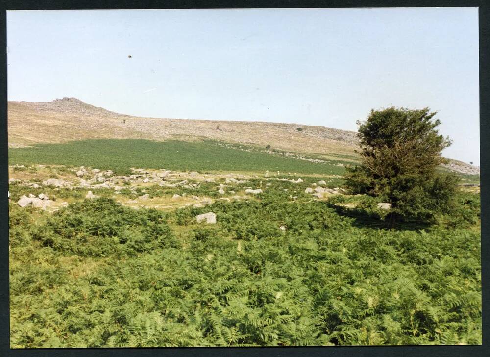 An image from the Dartmoor Trust Archive