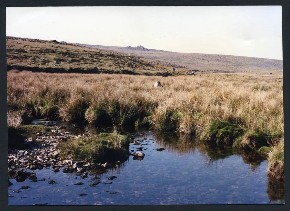 An image from the Dartmoor Trust Archive