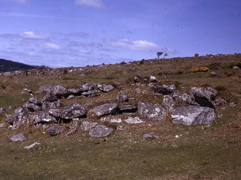 An image from the Dartmoor Trust Archive