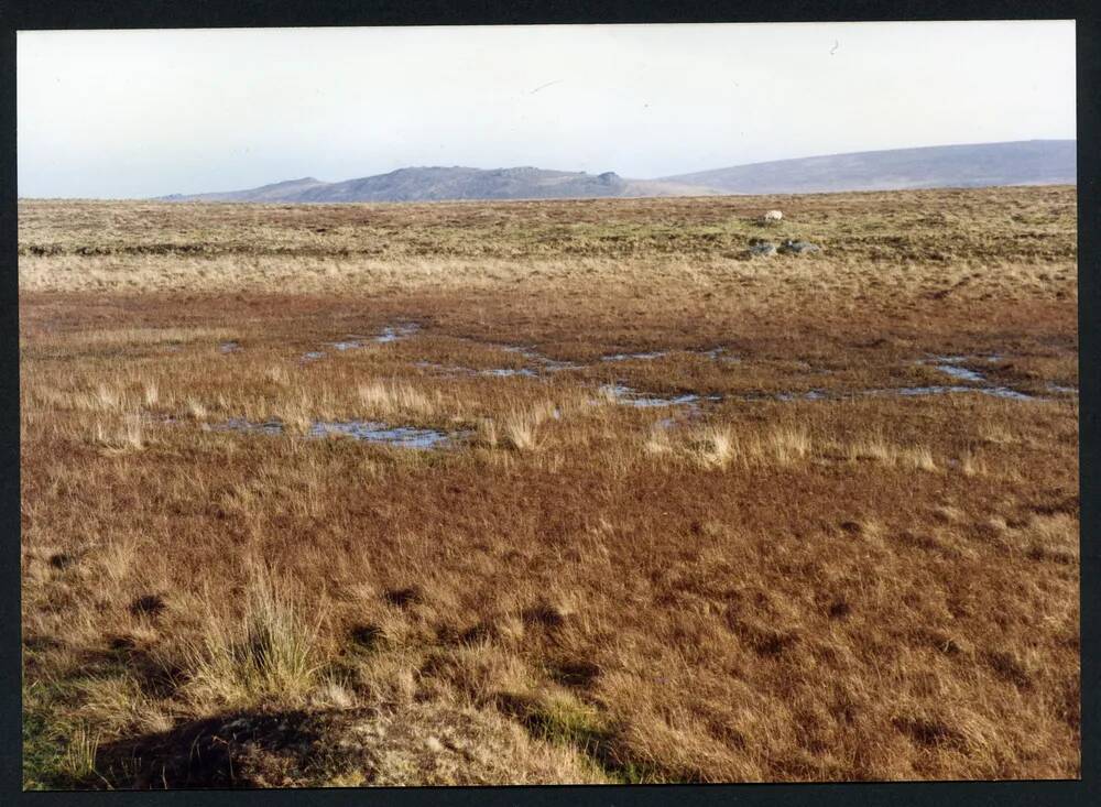 An image from the Dartmoor Trust Archive