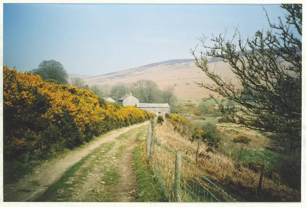 An image from the Dartmoor Trust Archive