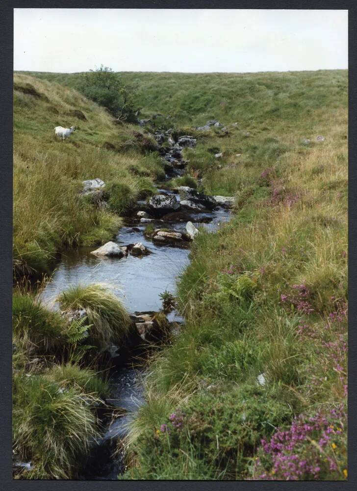 An image from the Dartmoor Trust Archive