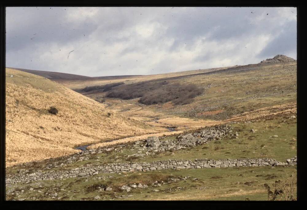 Wistmans wood  - West Dart