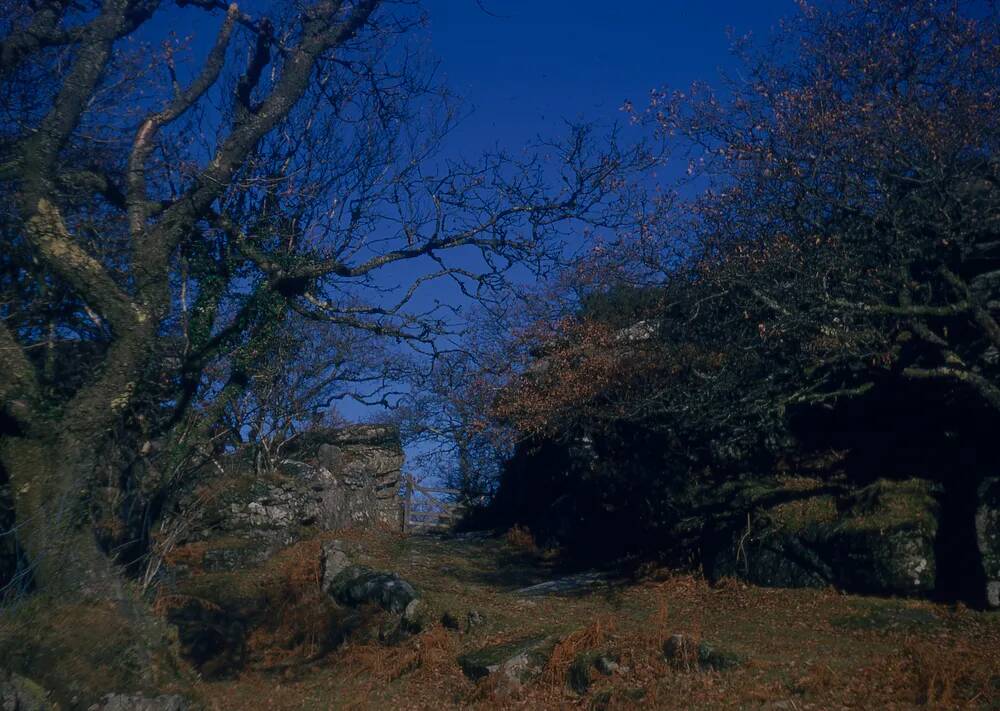 An image from the Dartmoor Trust Archive