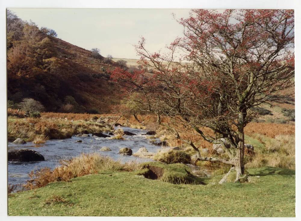 An image from the Dartmoor Trust Archive