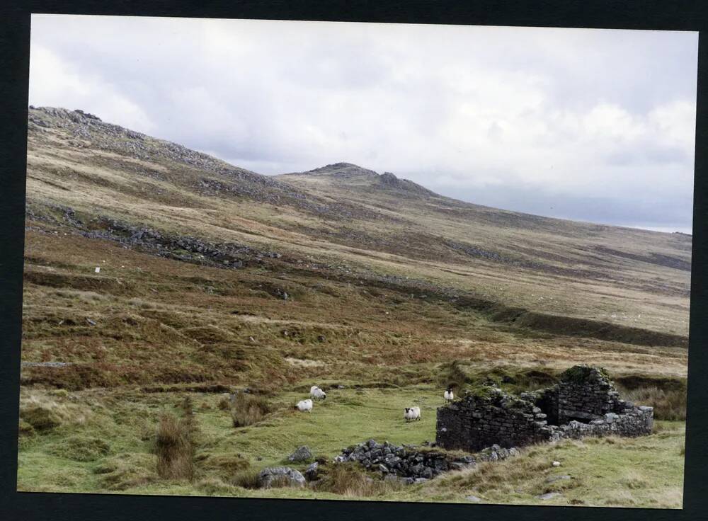 An image from the Dartmoor Trust Archive