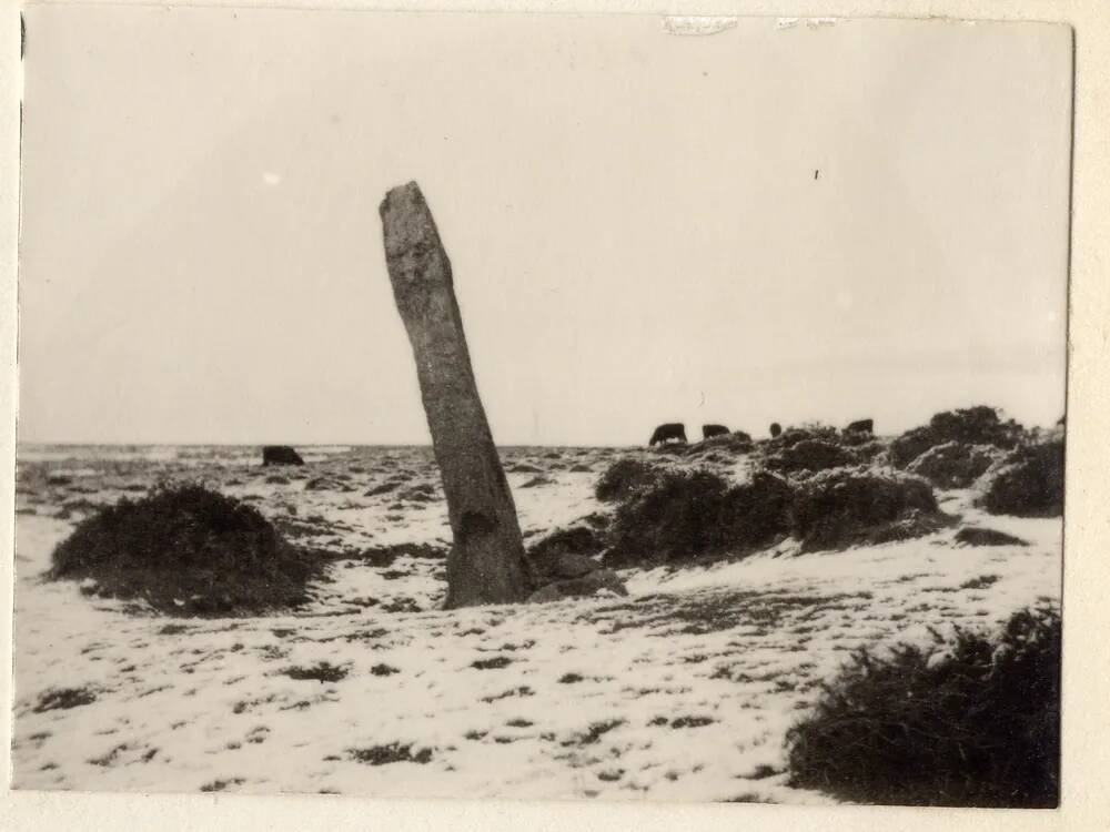 Menhir at Harbourne Head