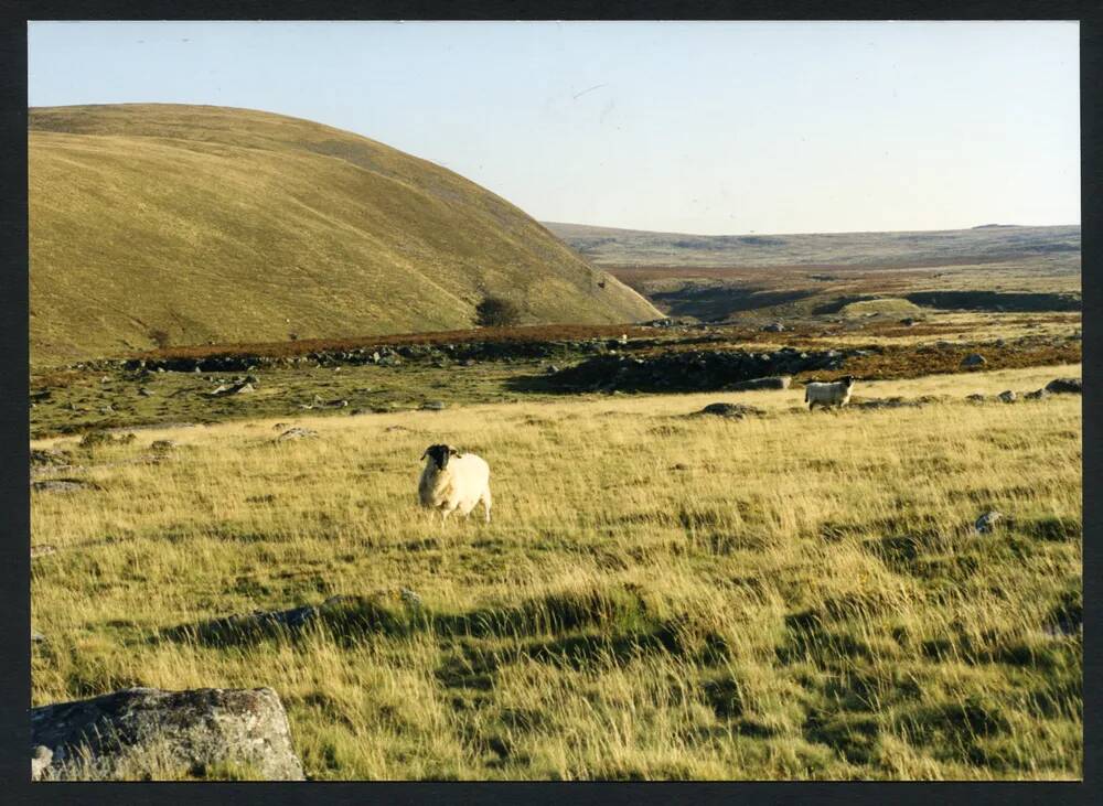 An image from the Dartmoor Trust Archive