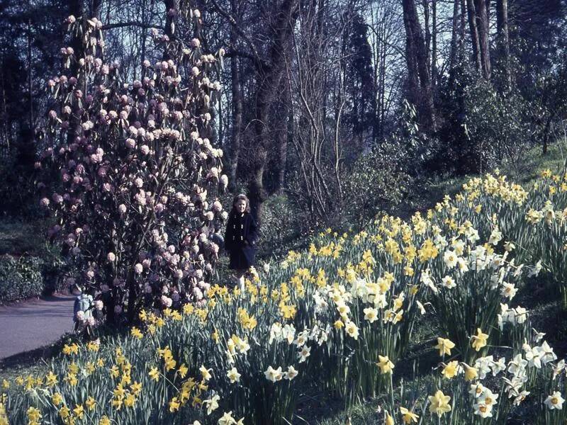 An image from the Dartmoor Trust Archive