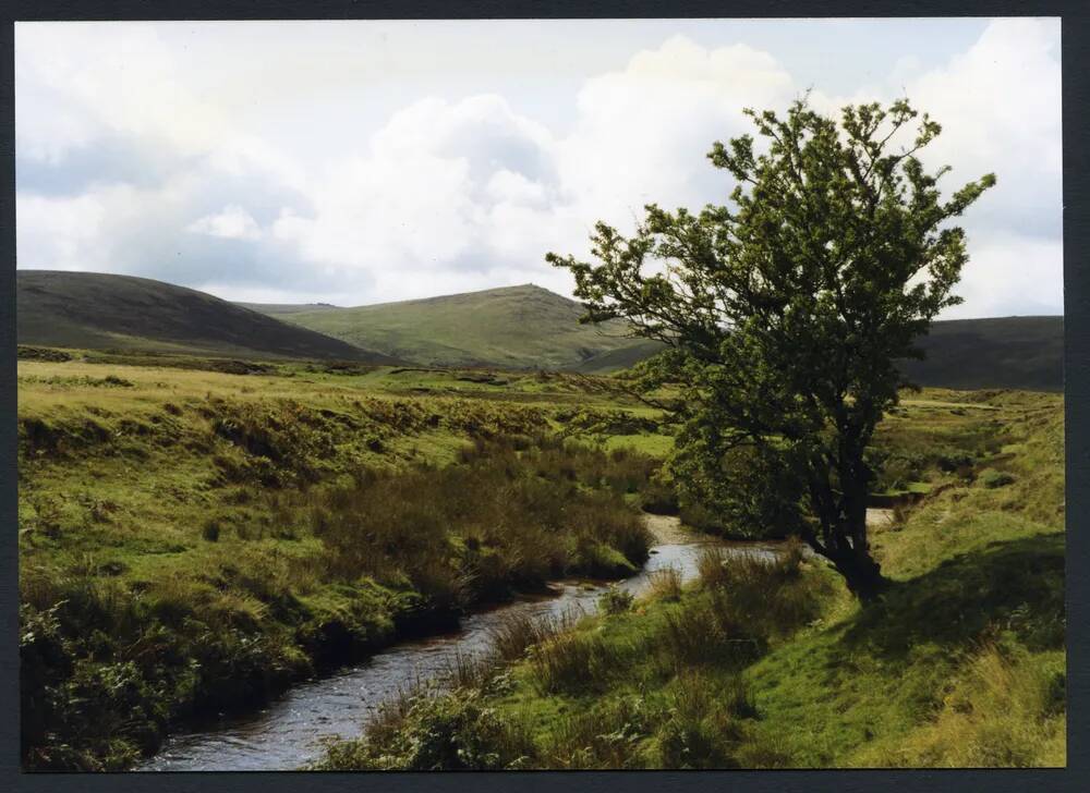 An image from the Dartmoor Trust Archive