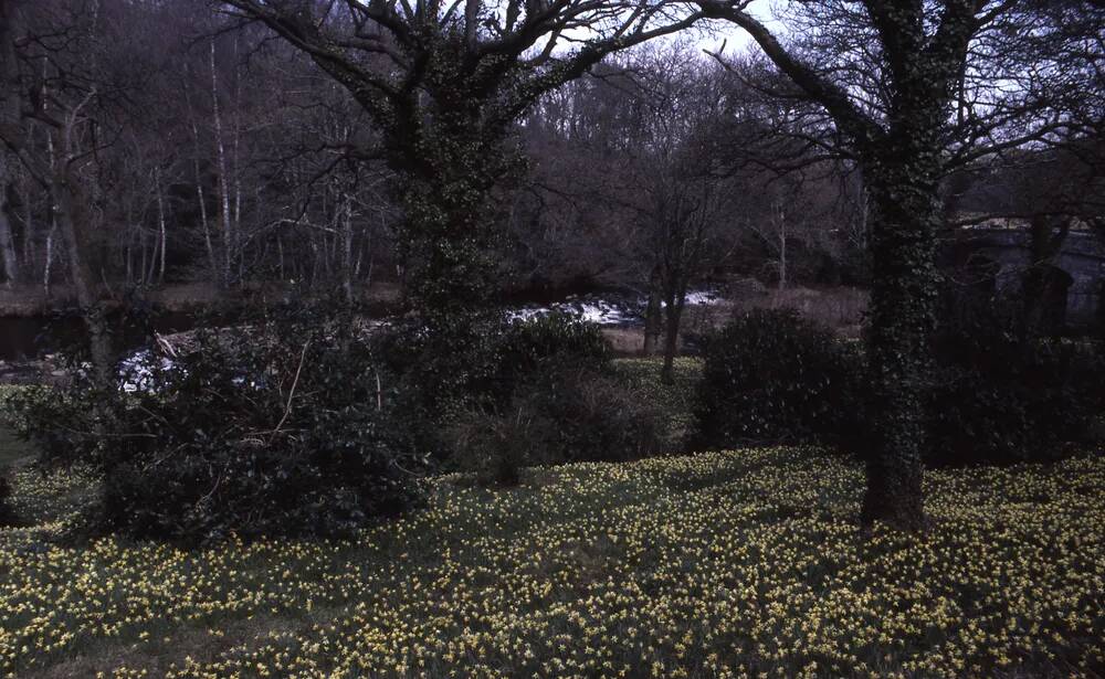 An image from the Dartmoor Trust Archive