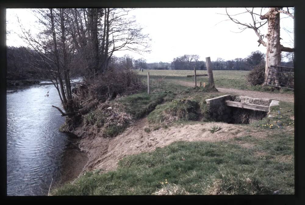 Stover canal - Fishweek feeder