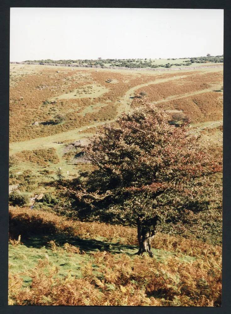 An image from the Dartmoor Trust Archive