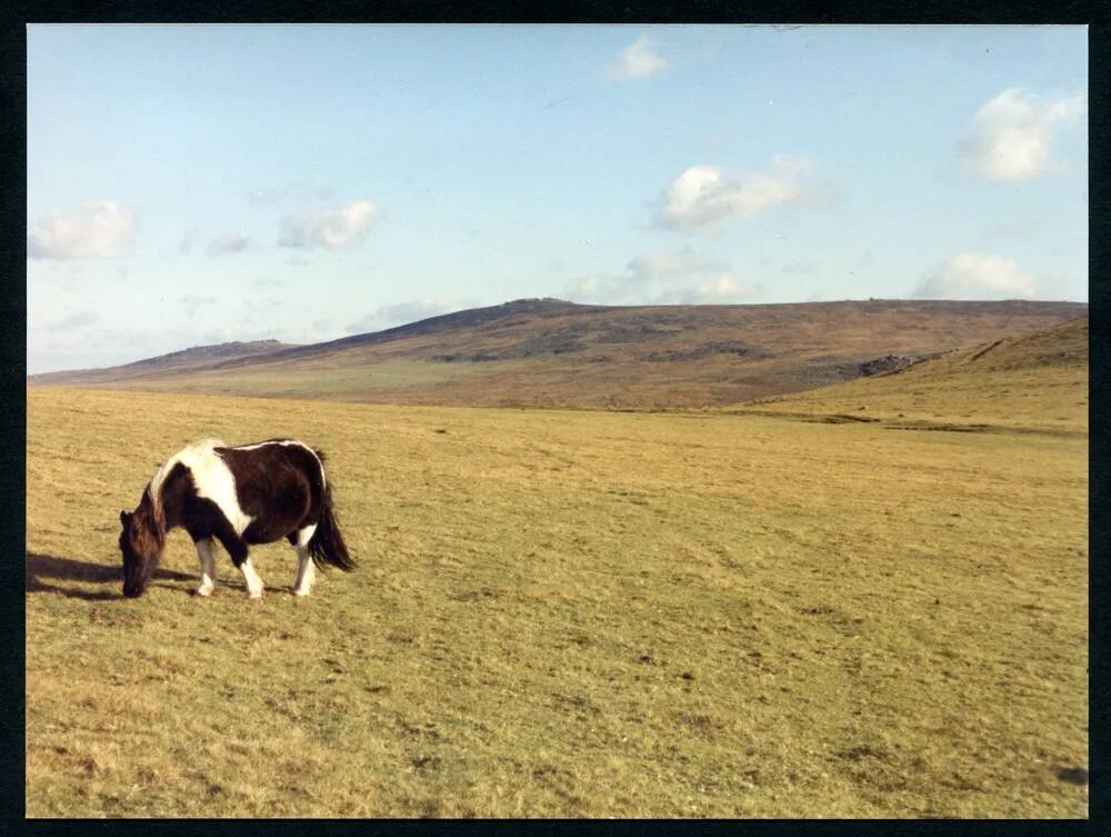 An image from the Dartmoor Trust Archive