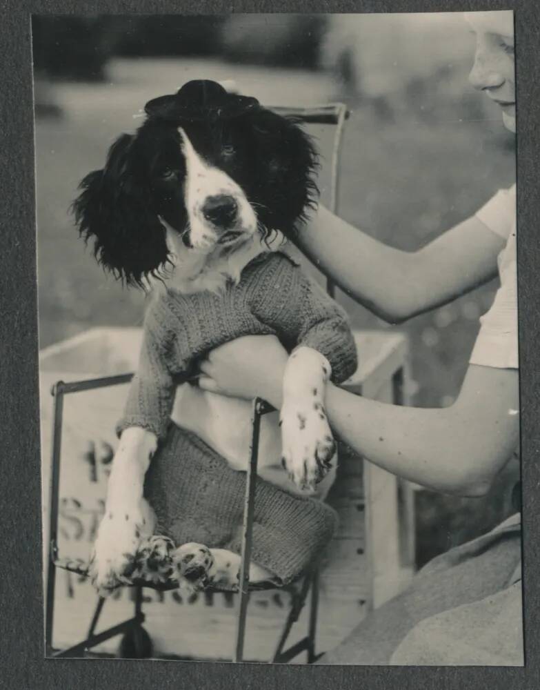 An image from the Dartmoor Trust Archive