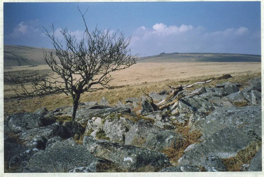 An image from the Dartmoor Trust Archive