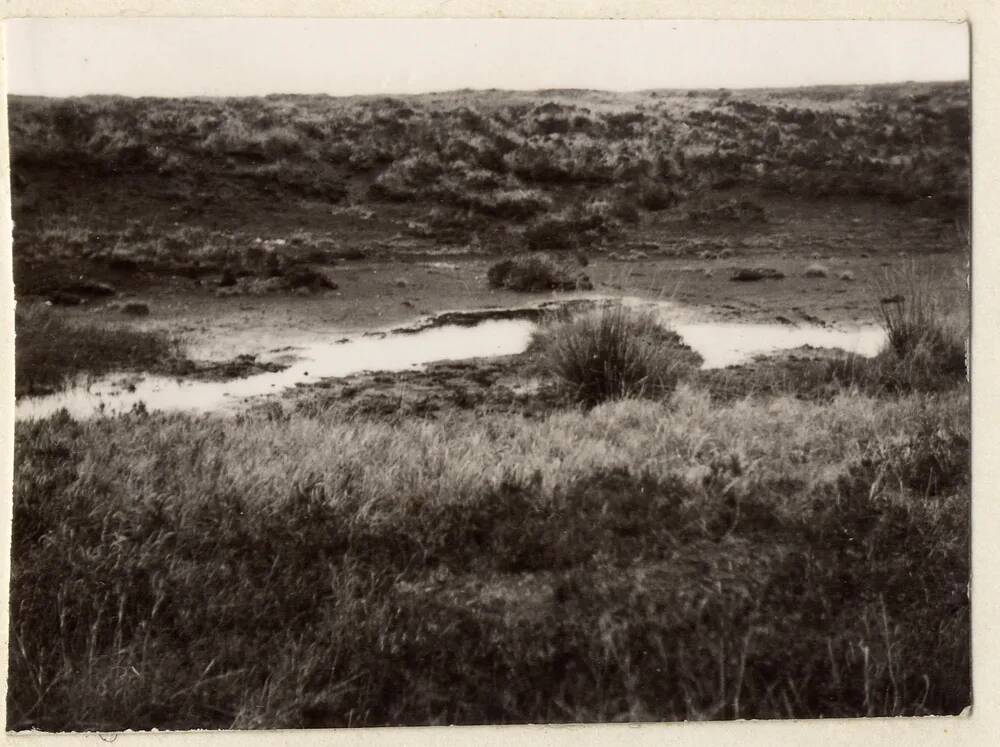 Cranmere Pool