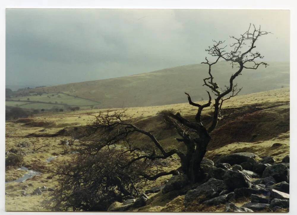 An image from the Dartmoor Trust Archive