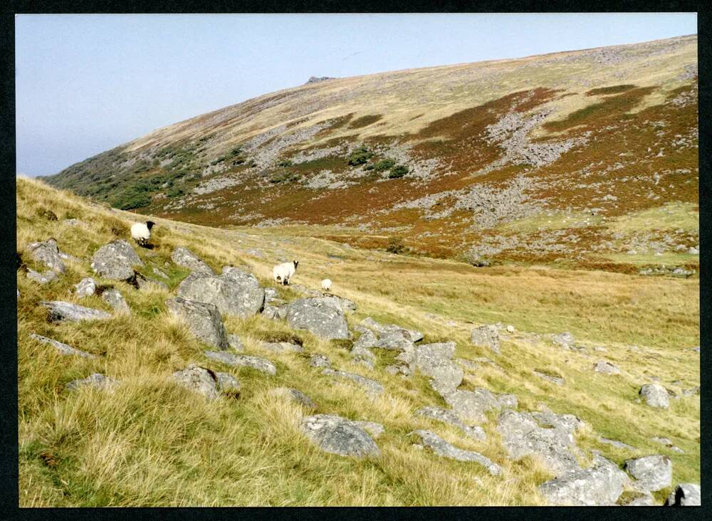 An image from the Dartmoor Trust Archive