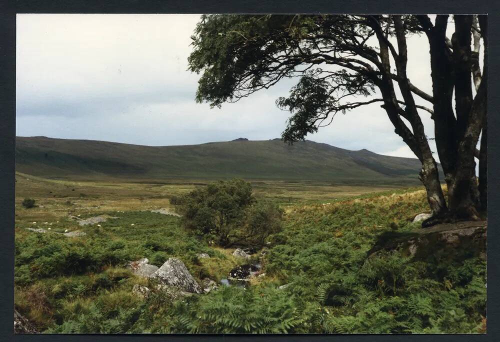 An image from the Dartmoor Trust Archive