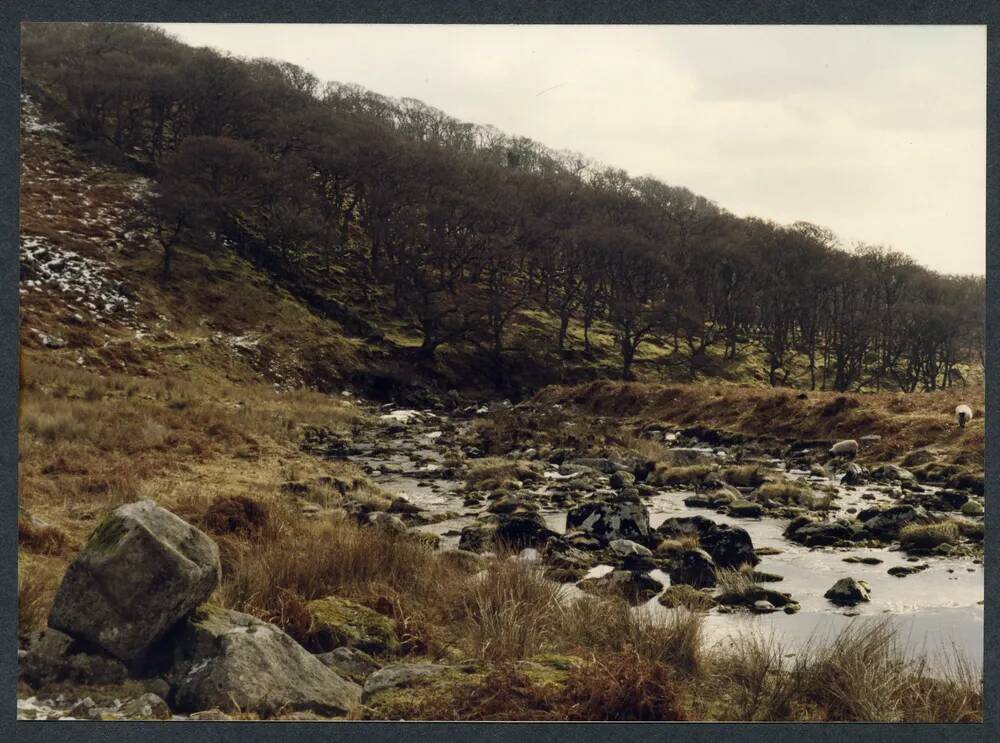 An image from the Dartmoor Trust Archive