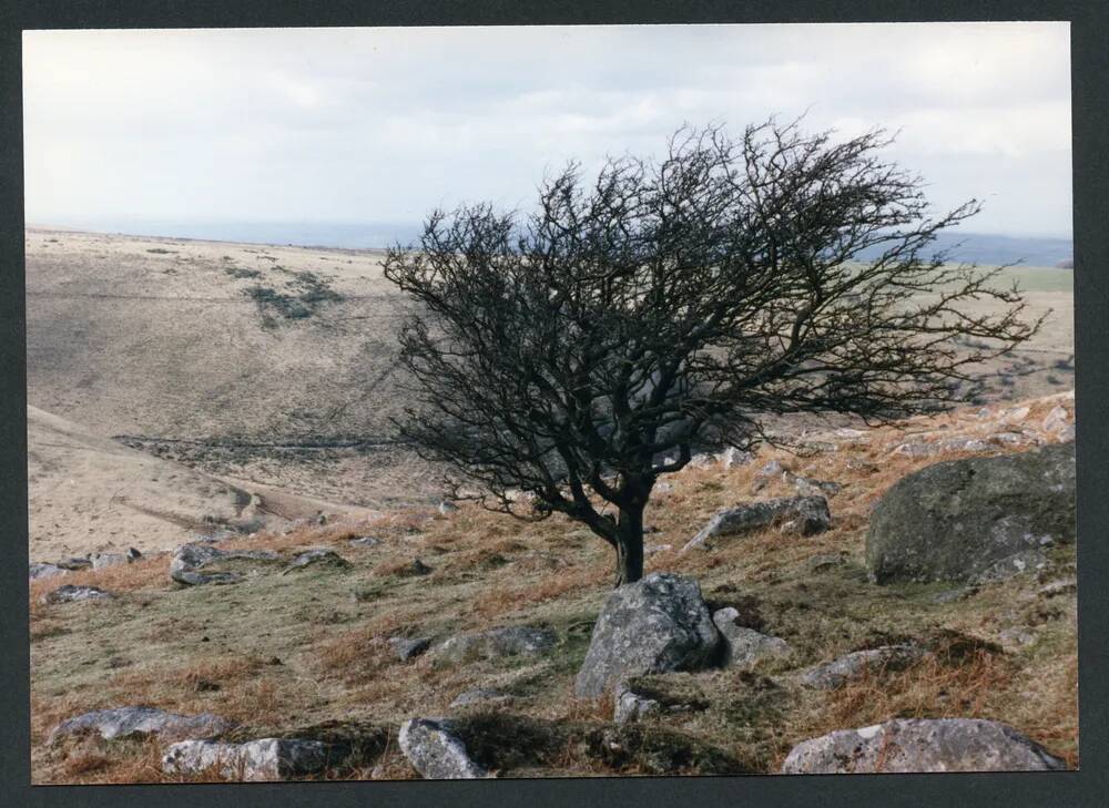 An image from the Dartmoor Trust Archive