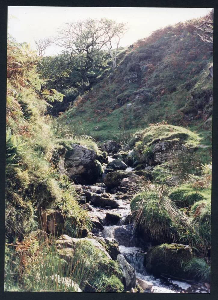 An image from the Dartmoor Trust Archive