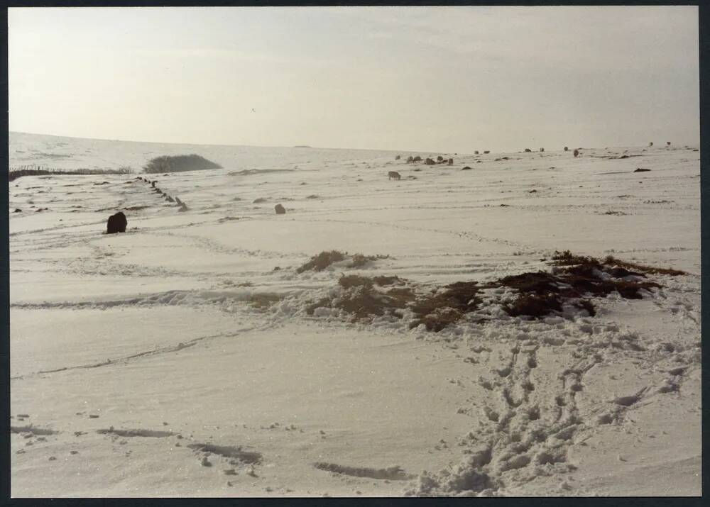 An image from the Dartmoor Trust Archive