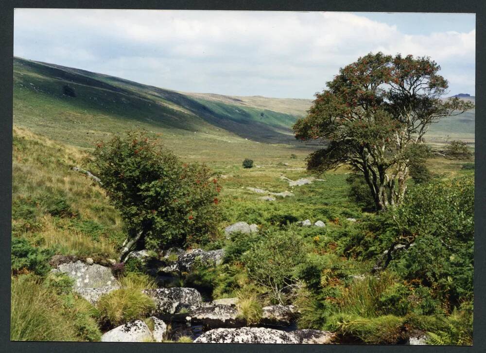 An image from the Dartmoor Trust Archive