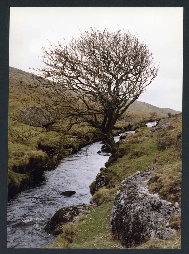 An image from the Dartmoor Trust Archive