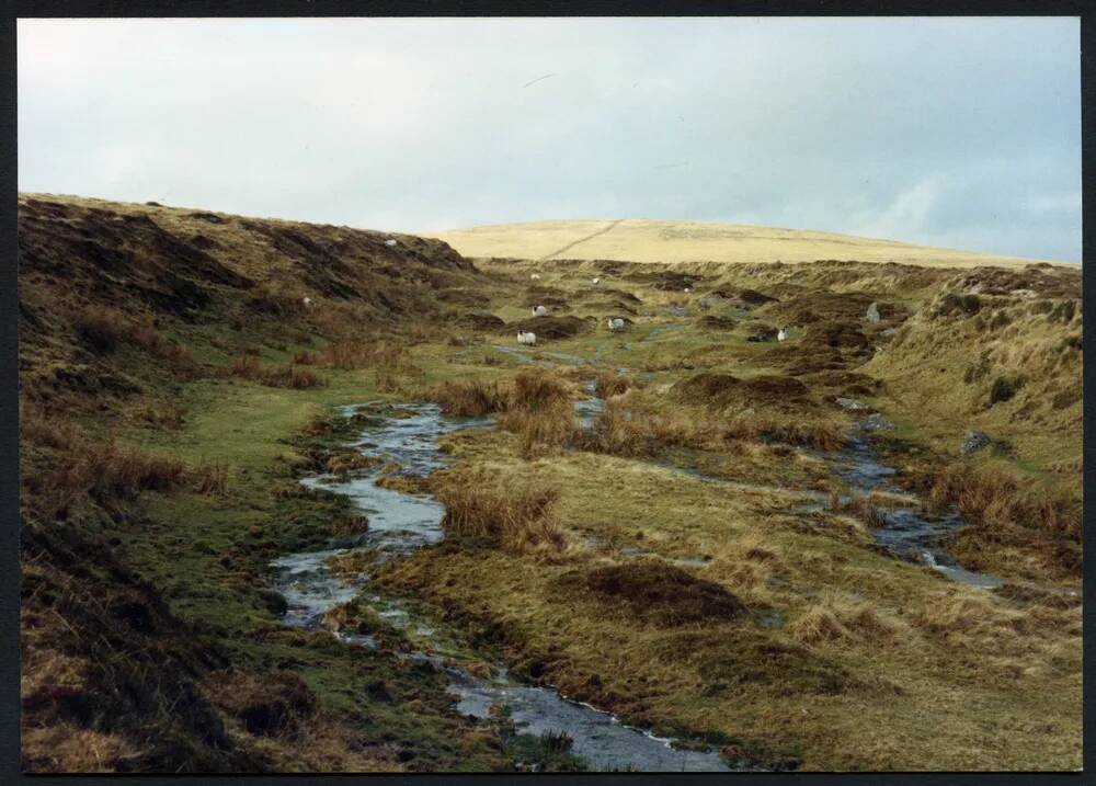 16/4 Below source to Three Burrows 14/1/1994