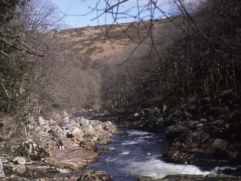 An image from the Dartmoor Trust Archive