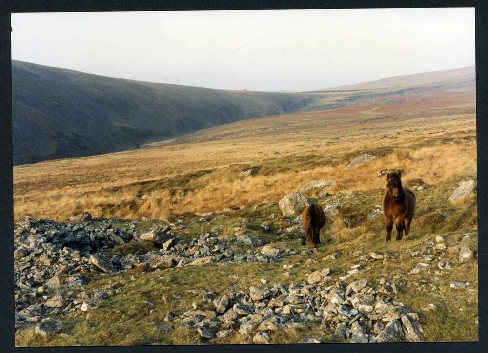 An image from the Dartmoor Trust Archive