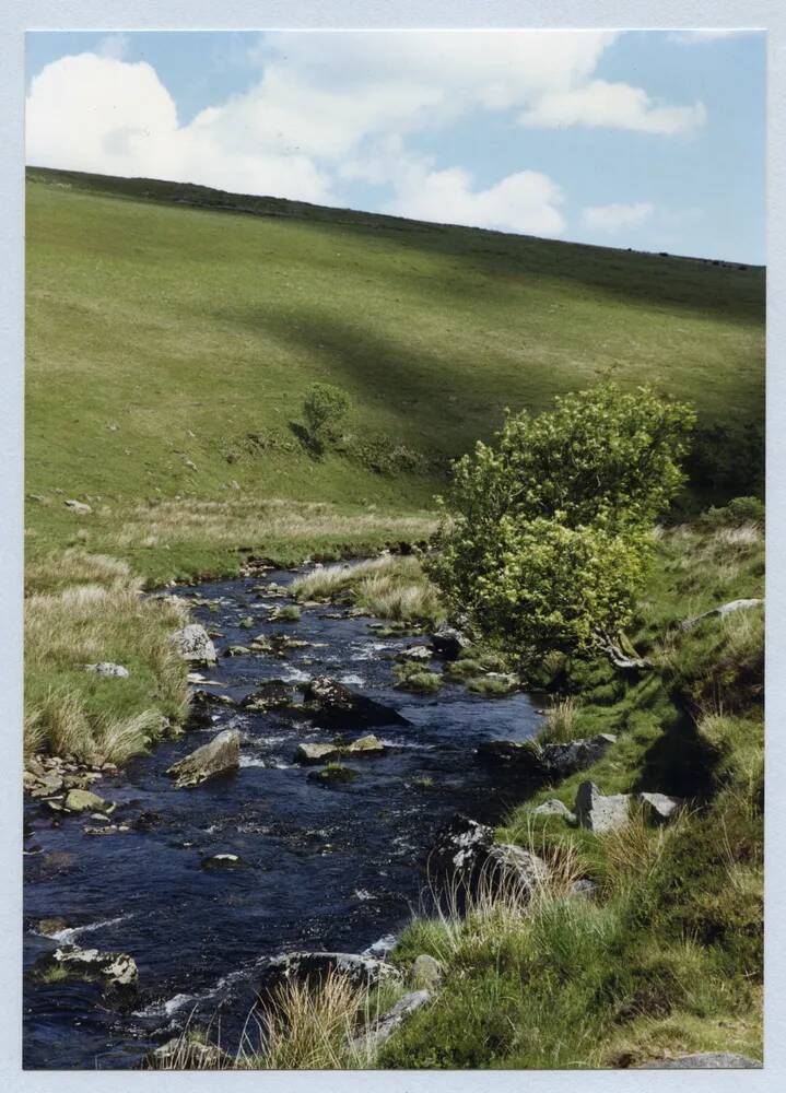 An image from the Dartmoor Trust Archive