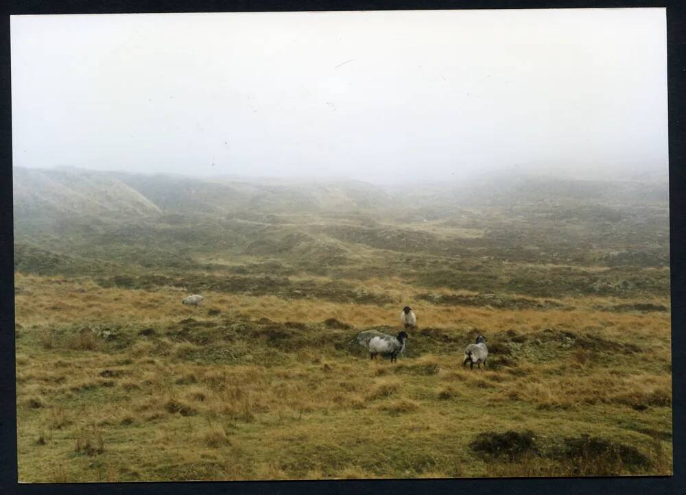 An image from the Dartmoor Trust Archive