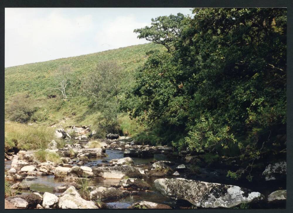 An image from the Dartmoor Trust Archive