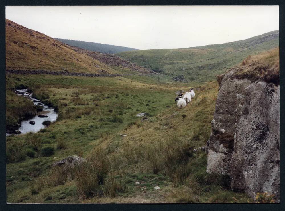 An image from the Dartmoor Trust Archive