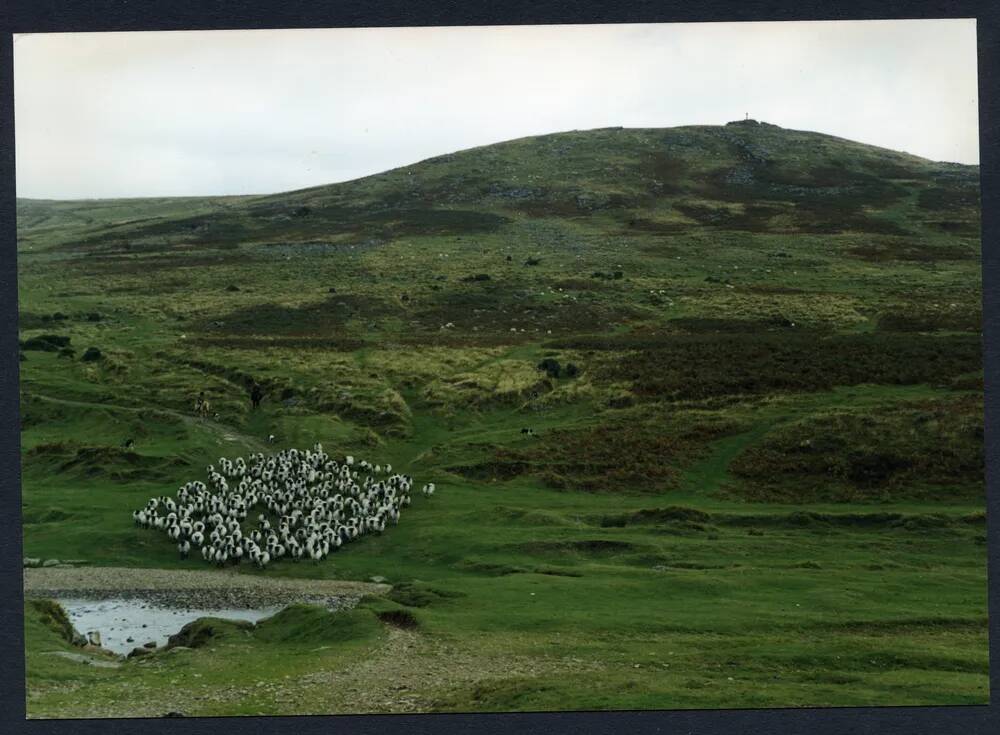 An image from the Dartmoor Trust Archive