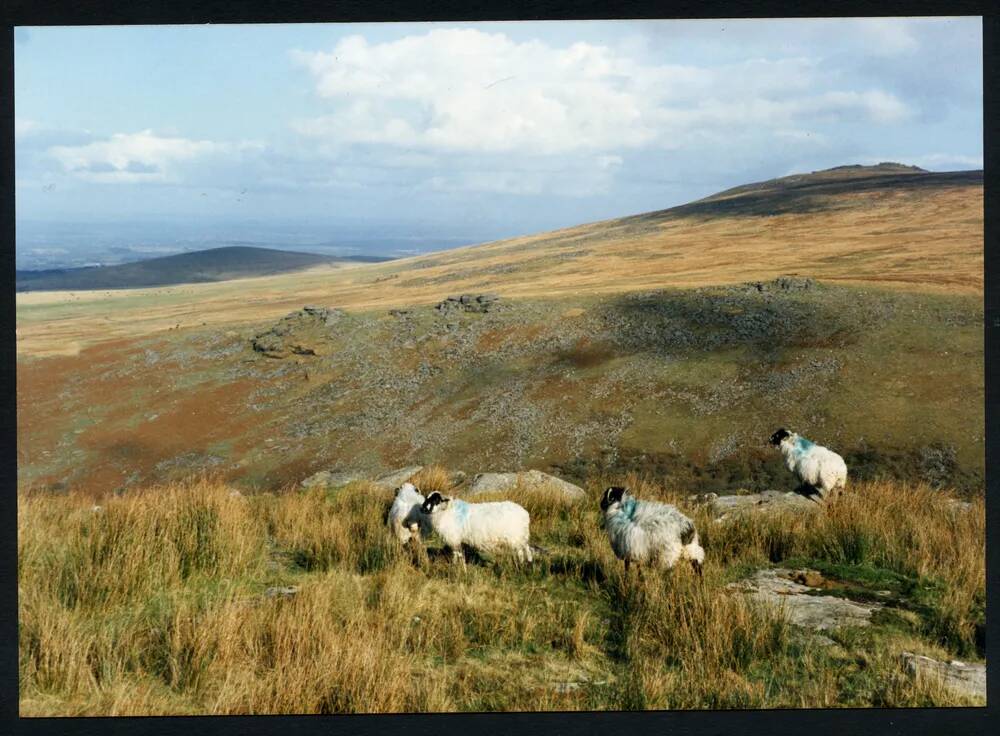 An image from the Dartmoor Trust Archive