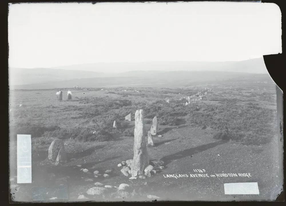 Langlaks Avenie on Hurston Ridge