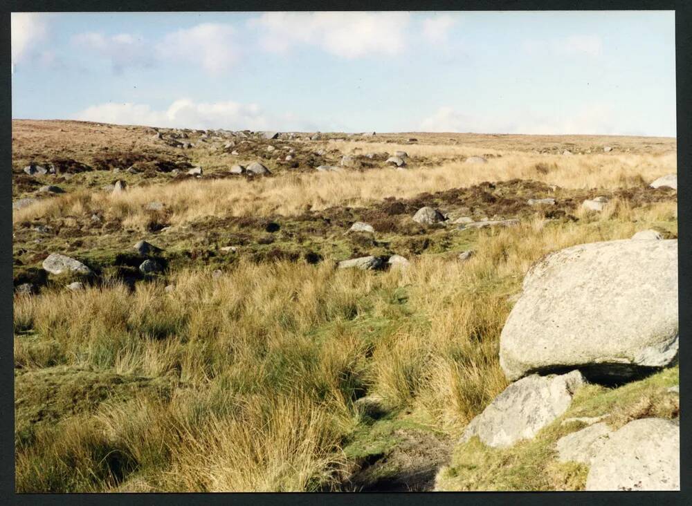 An image from the Dartmoor Trust Archive