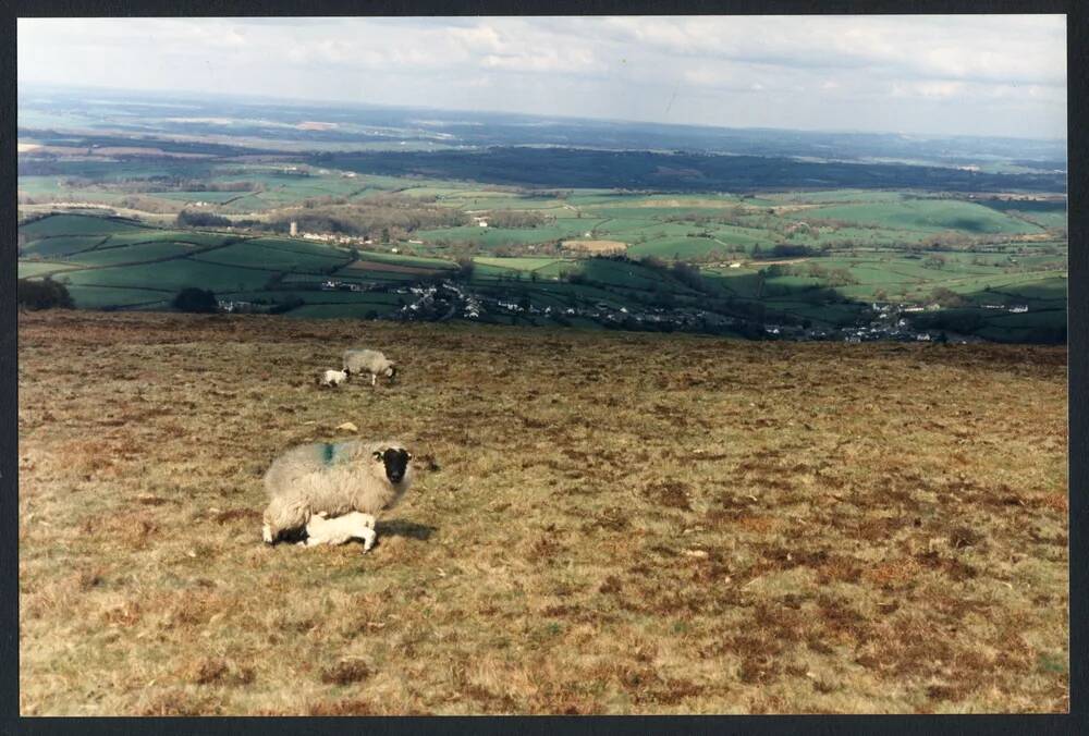 An image from the Dartmoor Trust Archive