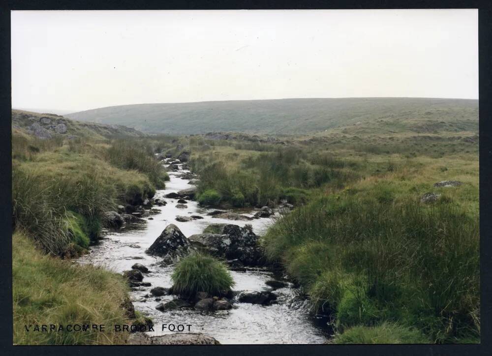 An image from the Dartmoor Trust Archive