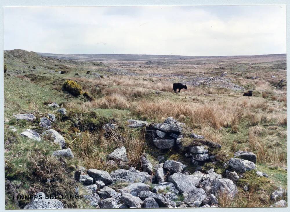 An image from the Dartmoor Trust Archive